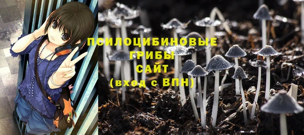 a pvp Магас