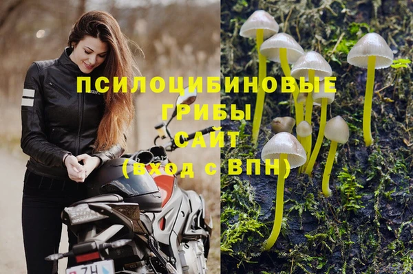 тгк Болохово