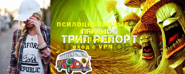 PSILOCYBIN Магадан