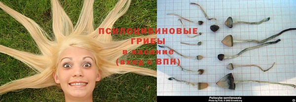 соль курить ск Майский