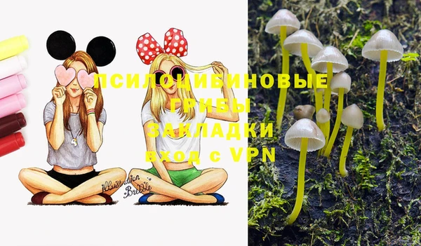a pvp Магас