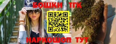 индика Заволжье