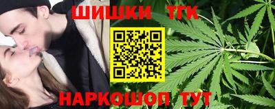 индика Заволжье