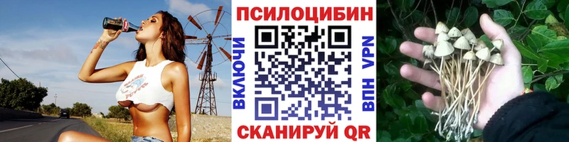 Псилоцибиновые грибы Psilocybine cubensis  кракен зеркало  Миллерово  закладки 