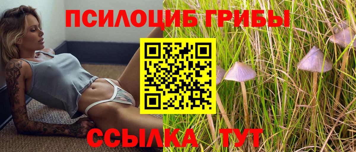 Миллерово  Галлюциногенные грибы ЛСД  Вход с VPN 