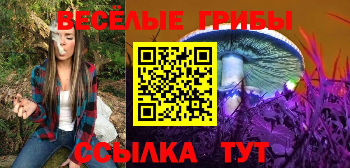 Псилоцибиновые грибы MAGIC MUSHROOMS Миллерово